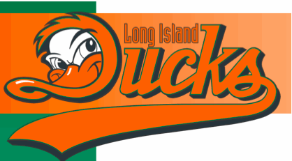 Image for FSC Night with the Long Island Ducks.