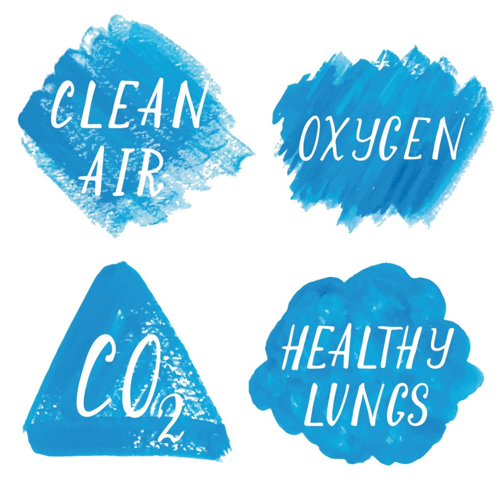Image for FSC a “Clean Air Champion”.