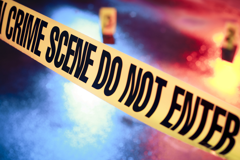 Image for Learn how Crimes are Solved – and be Part of the Crime Scene.