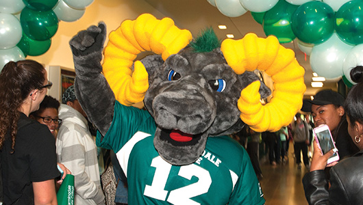 Rambo the mascot