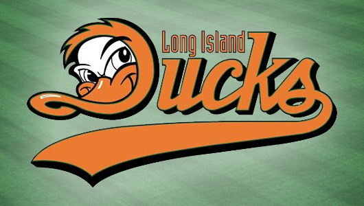 LI Ducks mascot logo