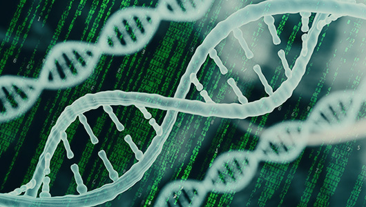 image of DNA strands