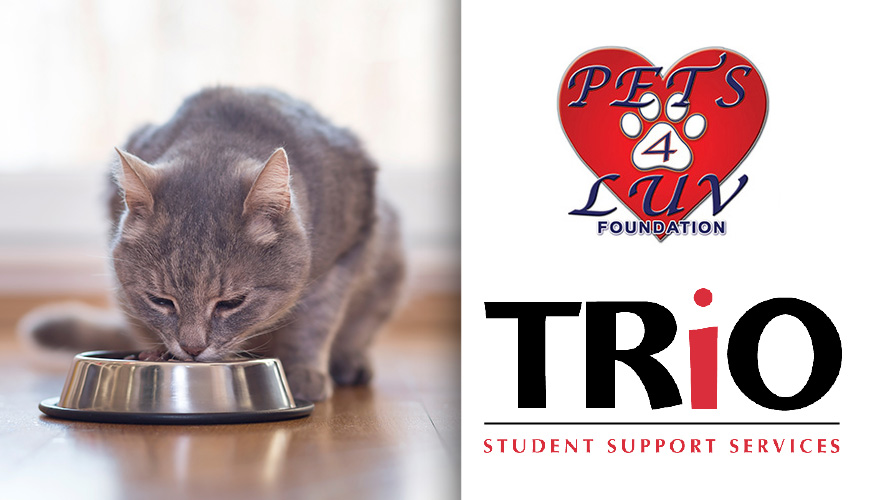 cat eating and animal shelter logo