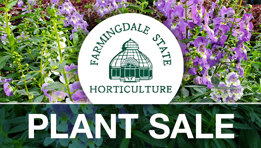 Plant sale logo and flowers in background