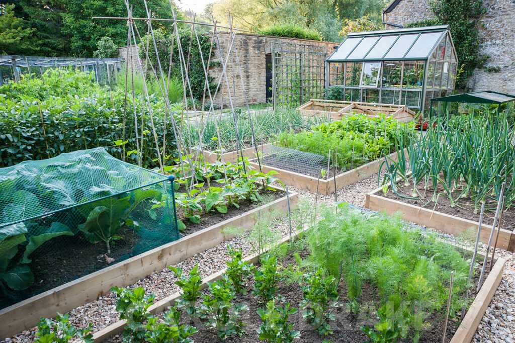 sustainable garden 