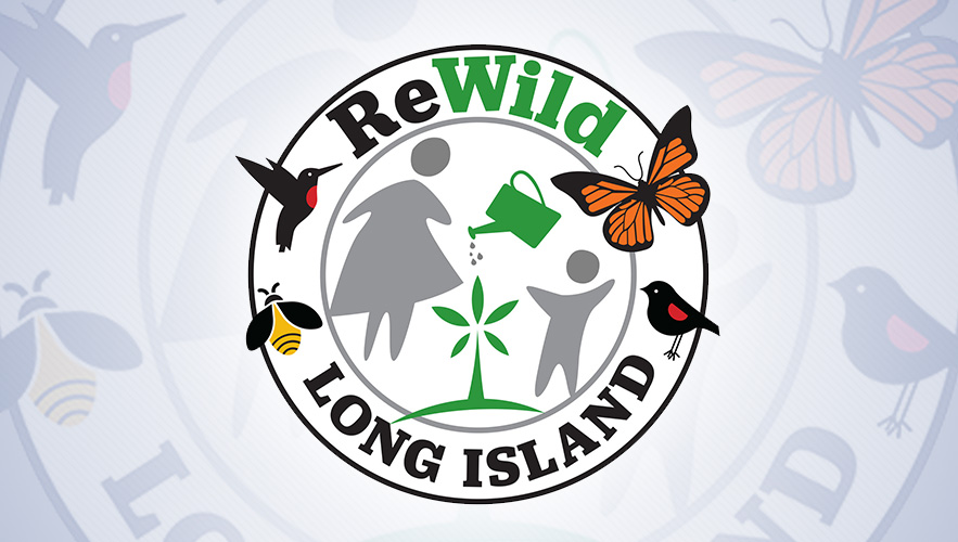 ReWild logo