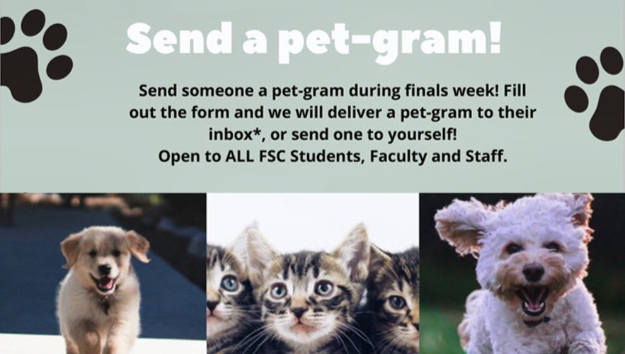 Send a pet-gram flyer, with images of dogs and cats