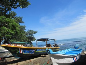 IMG_2412