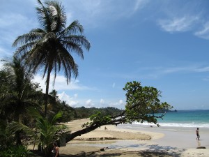 IMG_2810