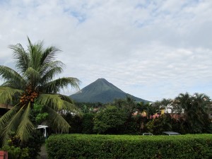 IMG_2831