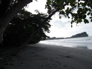 IMG_3140
