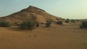 raynoa-blog-14