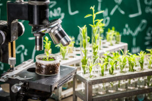 plant research 1