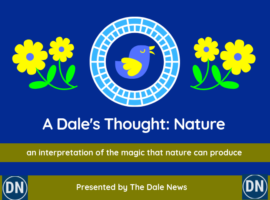 A Dales Thought Nature