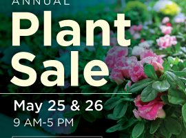 plant sale 2021 dashboard