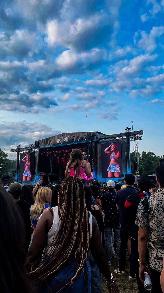 Image for Why You Should Attend Gov Ball.